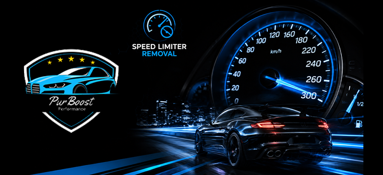Speed Limiter Removal